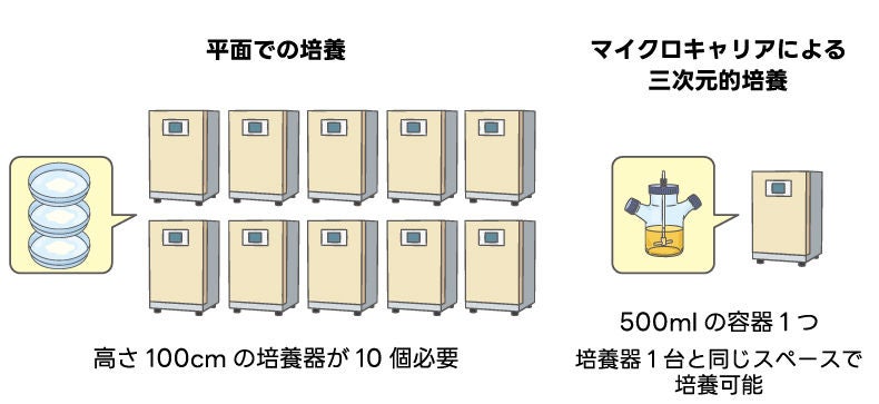 シャーレなどを使用する平面培養は高さ100cmの培養器が10個必要。マイクロキャリアによる三次元的培養は500mlの容器1つで培養でき、（高さ100cmの）培養器1つ分のわずかなスペースで培養可能