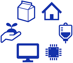 Transparent Barrier Film Application