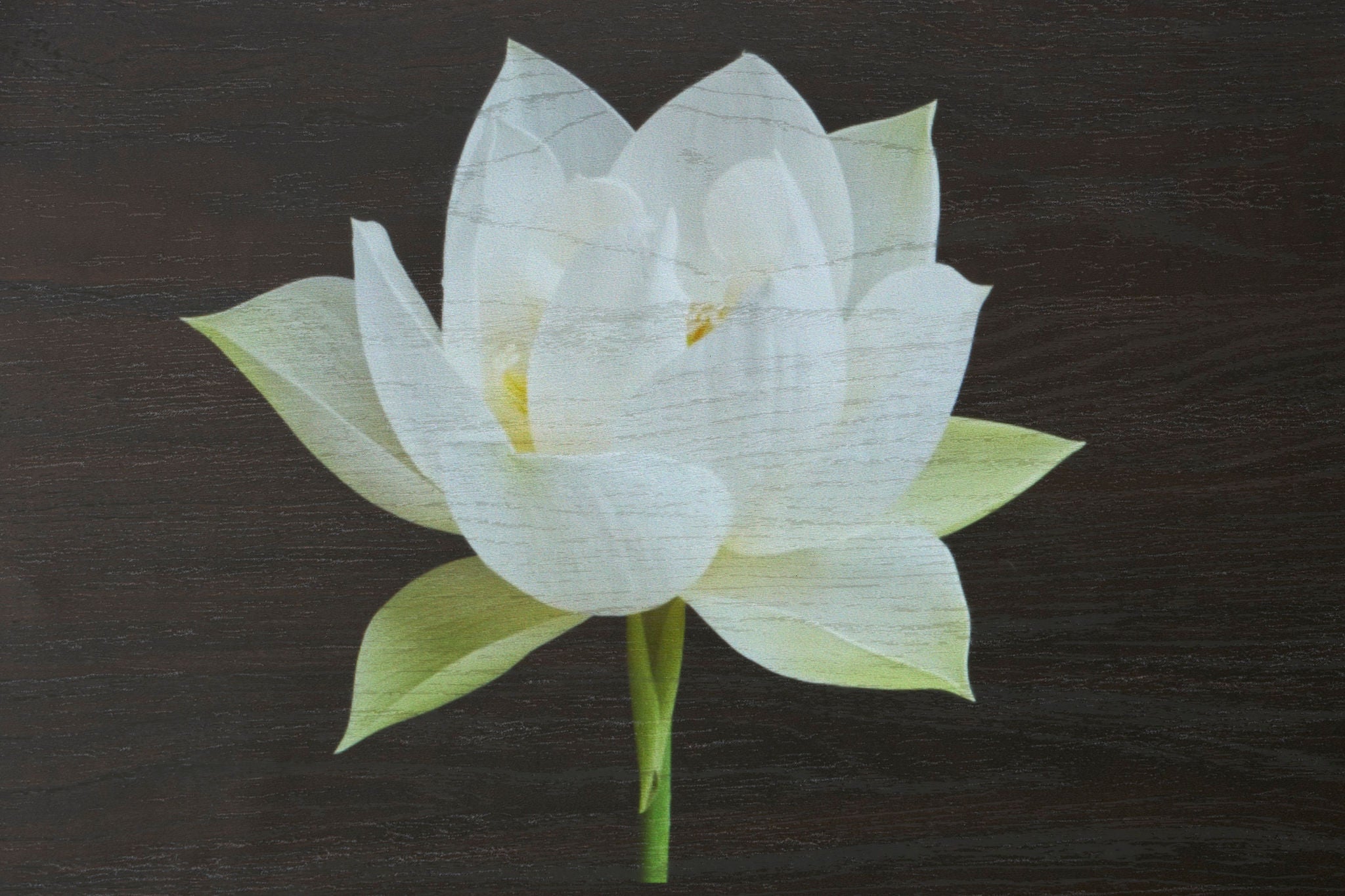 （左）従来の加飾フィルムでは表示映像の色や鮮明さに影響を与える