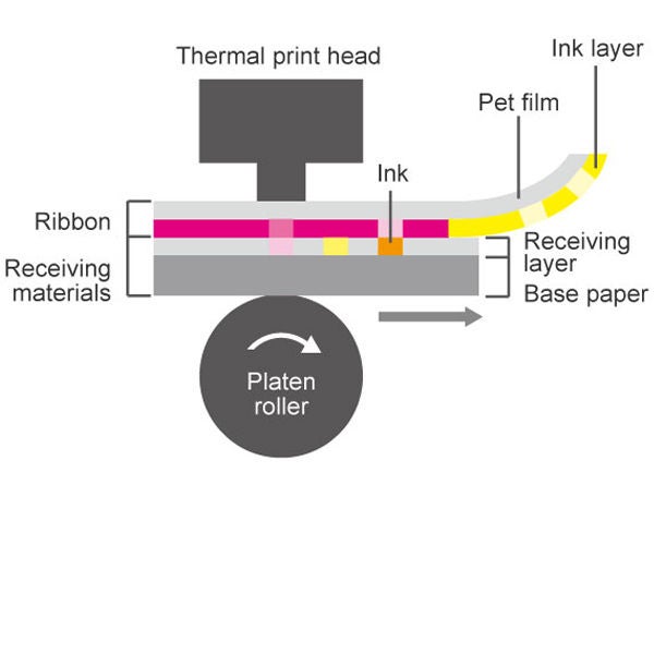 Image for dye-sublimation thermal transfer technology