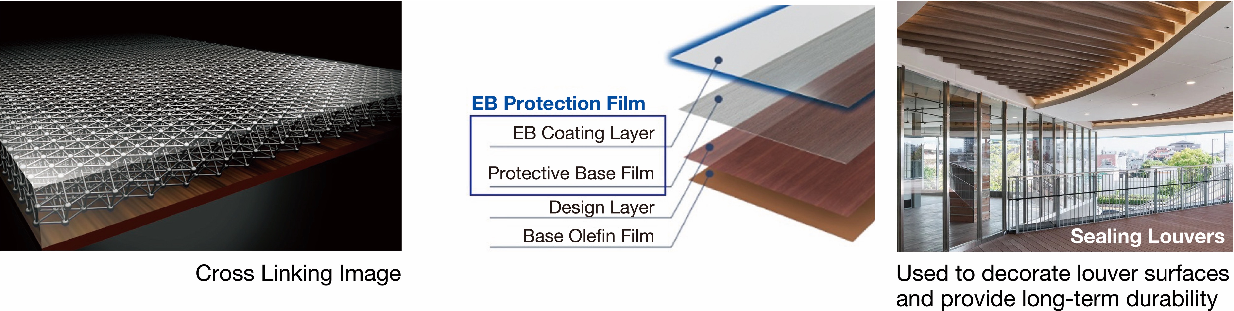 EB Protection Film