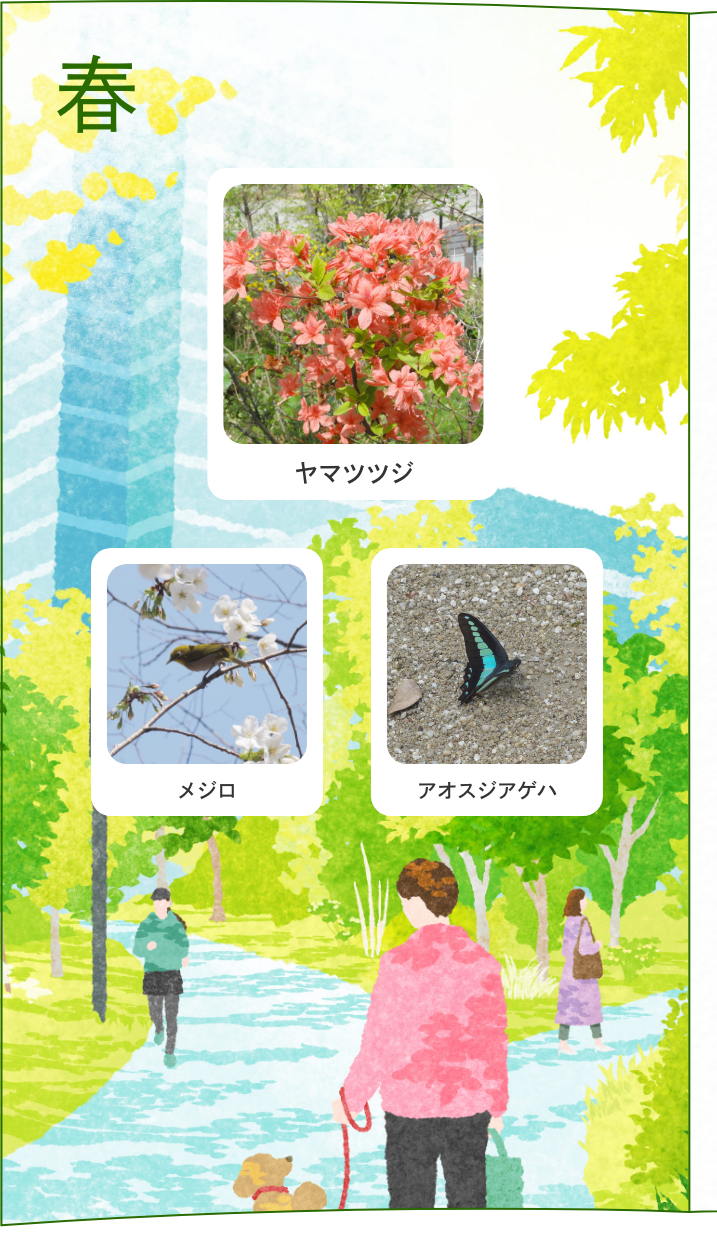 春 ヤマツツジ メジロ アオスジアゲハ