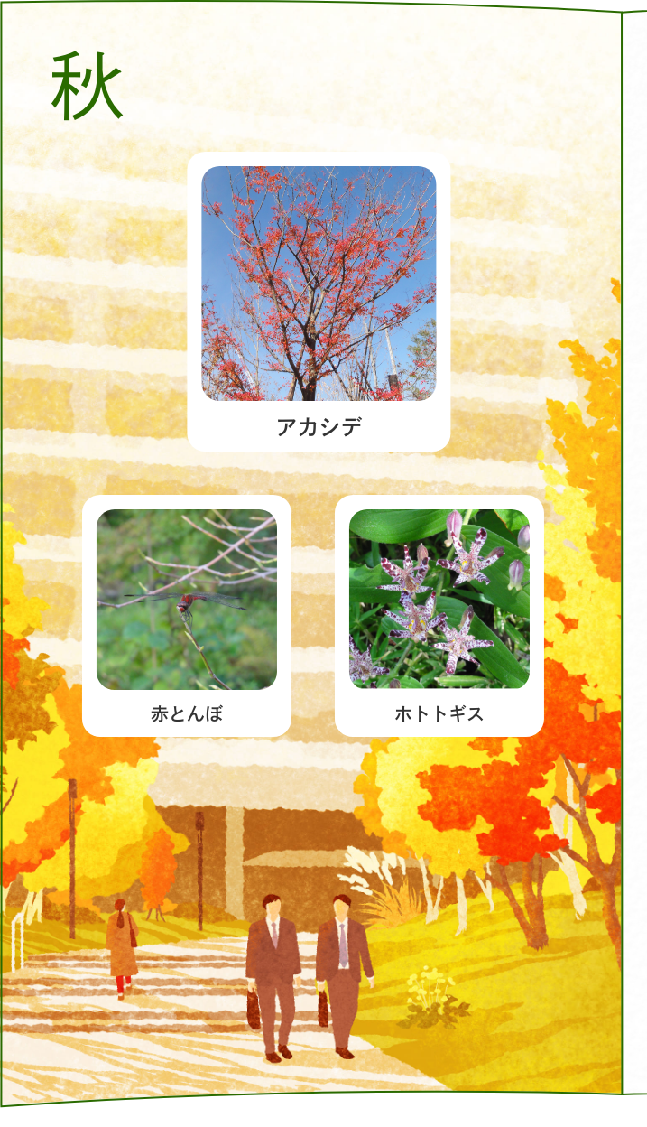 秋 アカシデ 赤とんぼ ホトトギス
