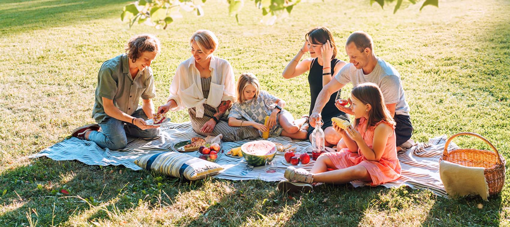 Image of people enjoying a picnic in the park