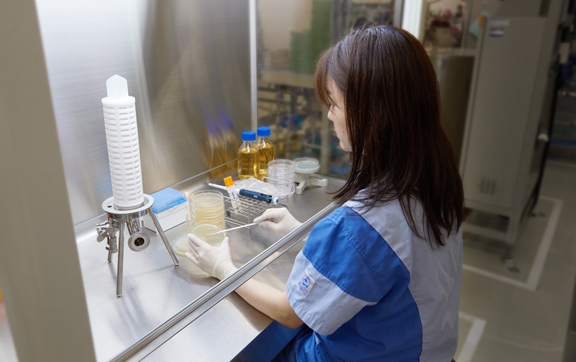 A photo of an experiment designed to verify the sterilising effect of microbial strains